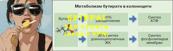 дмт Бородино